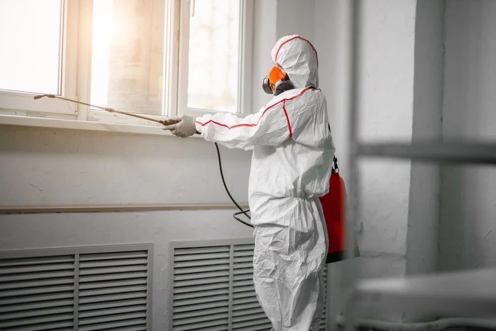 Professional mold remediation services in East Moriches, NY